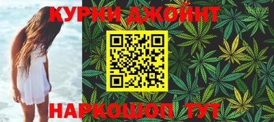 индика Камышлов